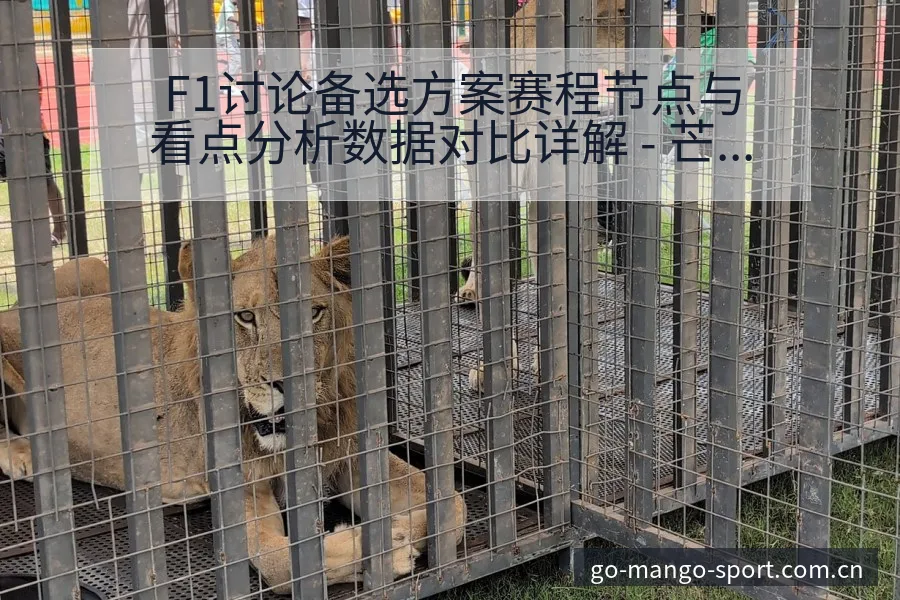F1讨论备选方案赛程节点与看点分析数据对比详解 - 芒果体育官网